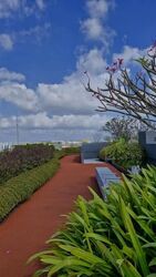 Amber Park (D15), Condominium #613408231